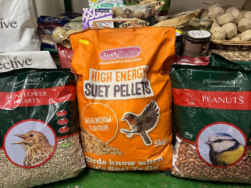 Seeds Nuts & Suet