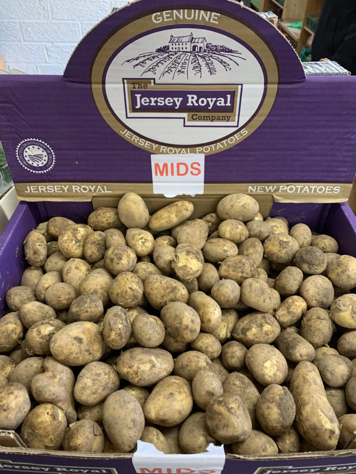 Jersey Potatoes