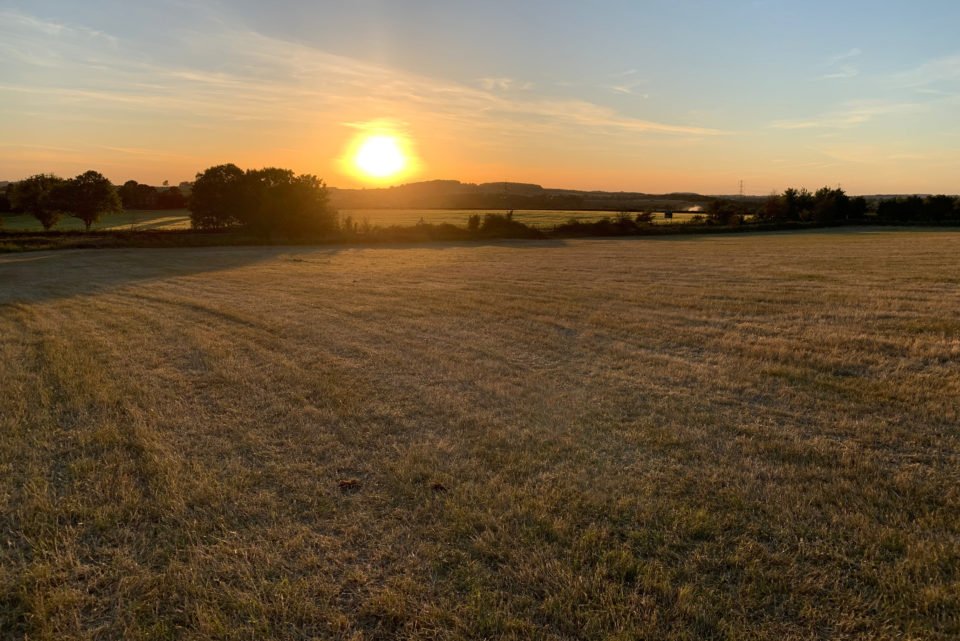 Roberts Farm Sunset Image