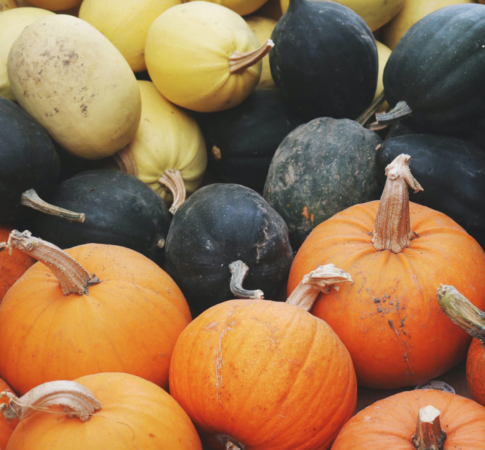 Small Assorted Pumpkins