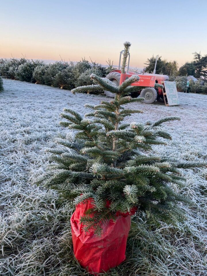 PHOTO 2025 11 13 11 13 19